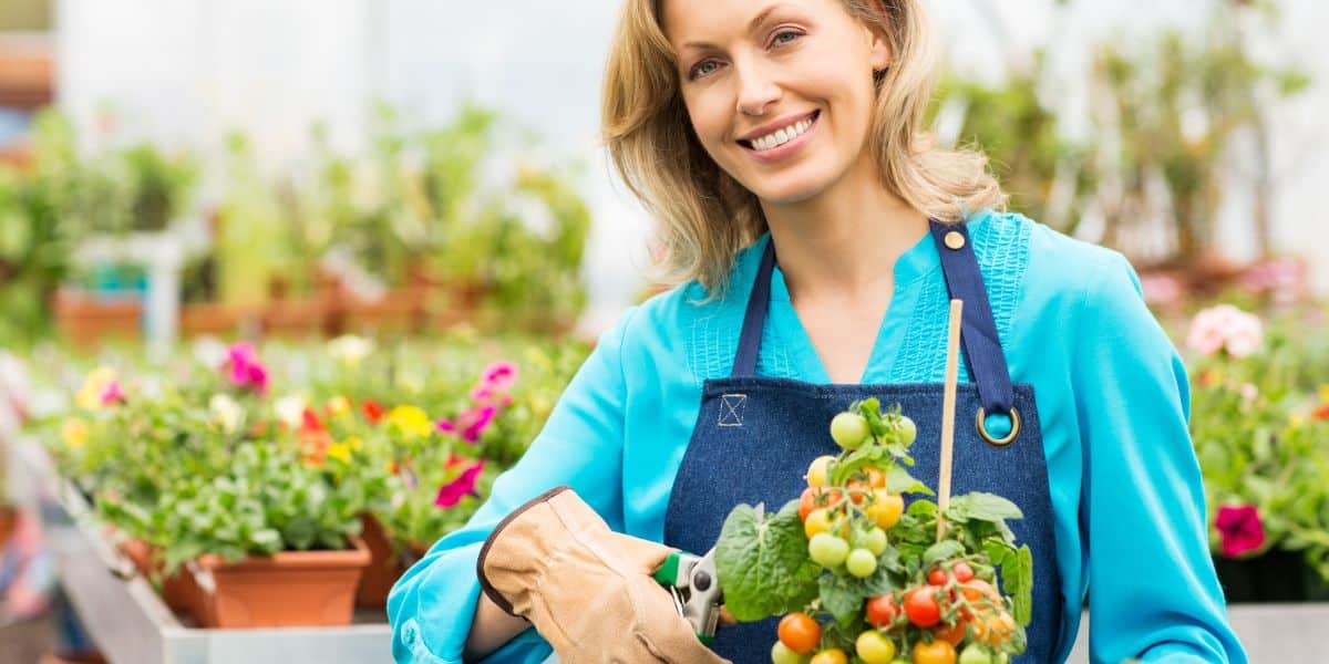 repiquer gourmands tomates