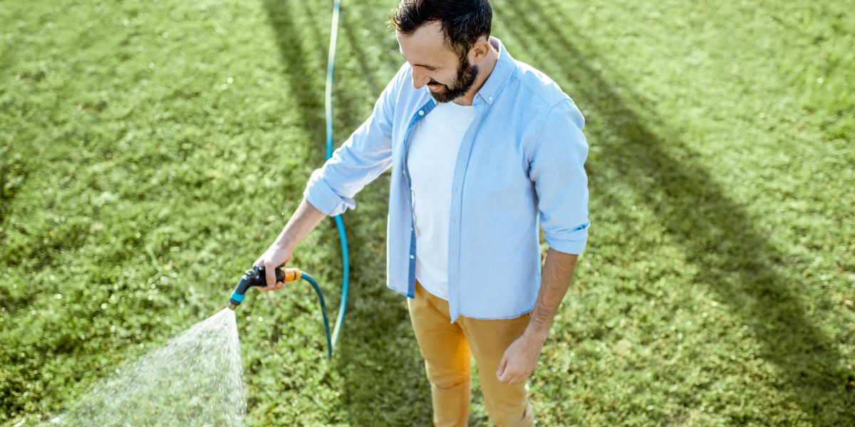 arroser son gazon l'été